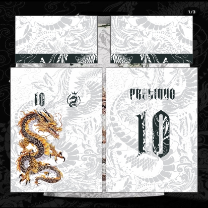 Template Interclasses - Dragão chinês dourado fucanglong - ARTE VETOR